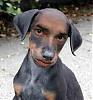 4JGtootsie's Avatar