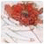 big-seo-bht's Avatar