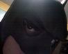 bruswayne's Avatar